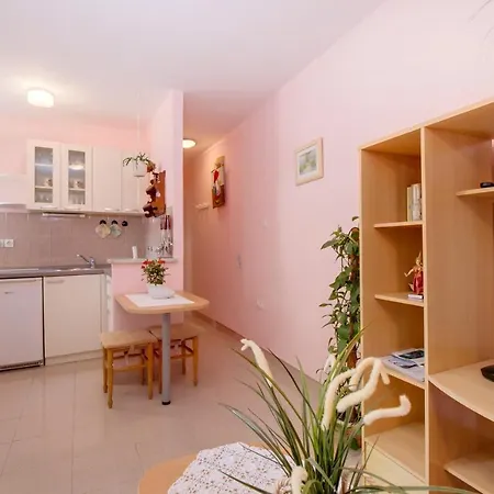 Biserka Apartment *